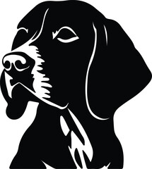 Coonhound portrait