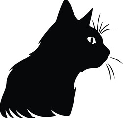 Obraz premium Cymric Cat portrait