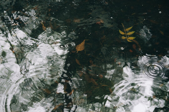 Rain ripped on water surface