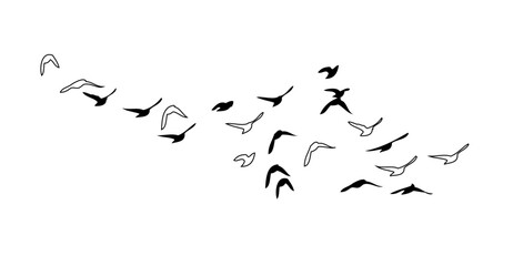 Flying birds silhouette flock. hand drawing. Not AI, Vector illustration