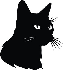 Bombay Cat portrait