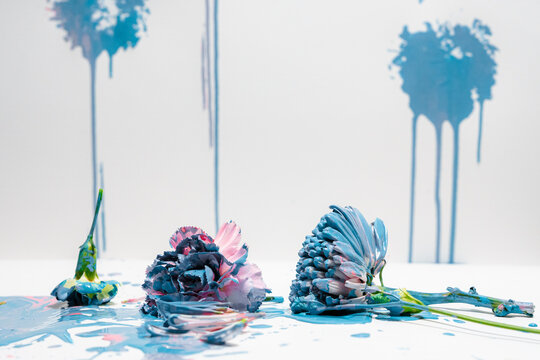 Drawing with flowers