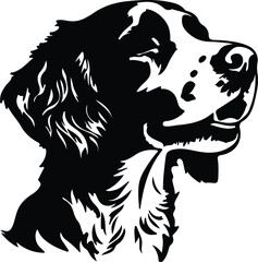 Brittany Spaniel portrait