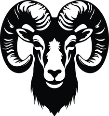 Fototapeta premium bighorn sheep portrait