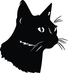 American Wirehair Cat portrait