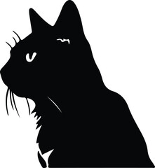 Australian Mist Cat portrait