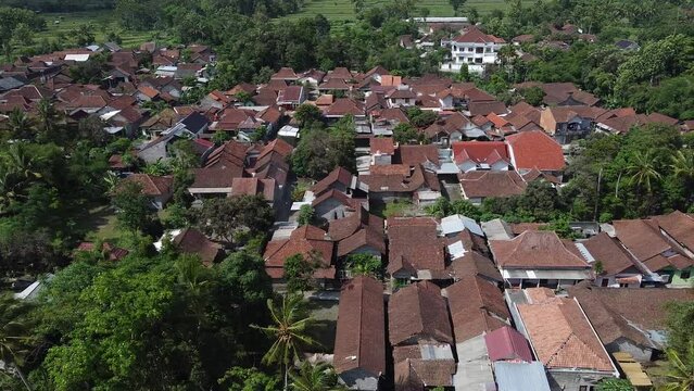 Small compact villages in Indonesia surrounded by trees and rice fields