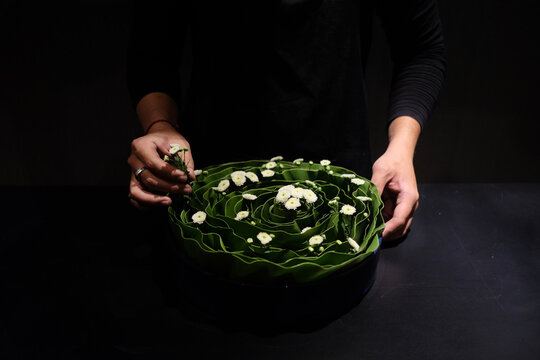 Hand arranging flowers in dark background