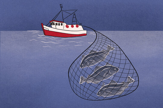 Fishing boat with caught fish