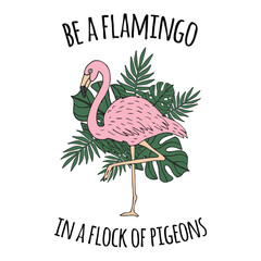 Fototapeta premium be a flamingo in a flock of pigeons