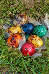 colorful easter quail eggs in the nest