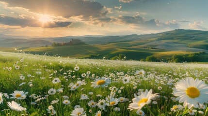 A beautiful meadow landscape filled with flowers and rolling hills in the horizon.