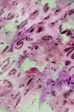 Purple pigment on pale green background