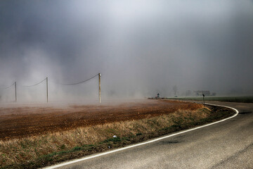 Natural spectacles of fog rising suddenly, surroundings San Giuliano Nuovo, Alessandria, Piedmont,...