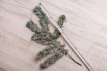 A pine branch being measured with a ruler on a wooden surface.