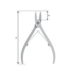 nail clipper vector illustration for beauty school guide, nail cutter size, manicure tutorial