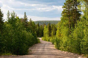 Forest embankment highway at sunset. Republic of Karelia - obrazy, fototapety, plakaty
