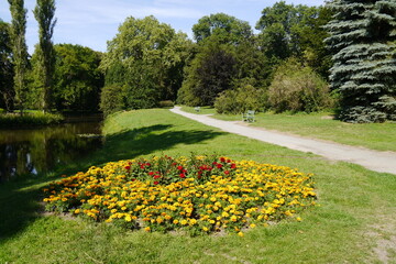 Blumen im Landschaftspark Althaldensleben beim Schloss Hundisburg