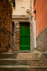 Fototapeta na wymiar Green door in the city center of Vernazza, Italy