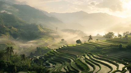 Fotobehang A tranquil rice paddy field with terraced hillsides and farmers working in the distance, surrounded by misty mountains © baseer