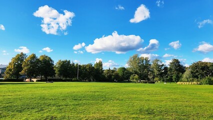 가을풍경 파란하늘과 잔디