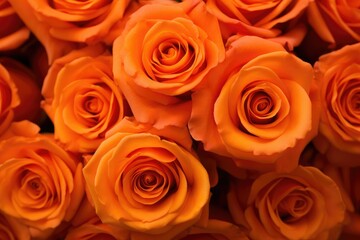 A cluster of fresh orange roses fills the frame, showcasing their vivid color and delicate petals up close. Generative AI