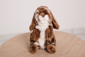 Bunny Hare Rabbit Plush Toy
