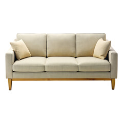 elegant grey sofa with cushions isolated