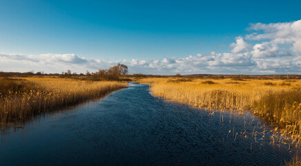 Early spring by a Ukrainian river: tranquil waters meet awakening reeds, symbolizing renewal. A serene, beautiful snapshot of nature's rebirth.