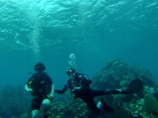 SCUBA divers on the reef in the Caribbean Sea, off the coast of Utila, Honduras