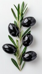 Single black olive fruit isolated on clean white background for optimal focus and search relevance