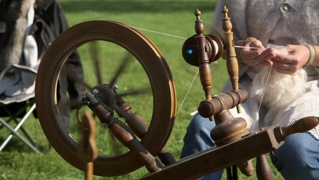 Woman Spins Sheep's Wool with a Spinning Wheel. Spinning Wheel is a Device for Spinning Thread or Yarn from Fibres. It was Fundamental Before Industrial Revolution.
