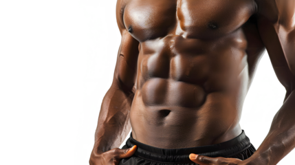 Muscular Male Torso With Abs Isolated On White Or Transparent Background