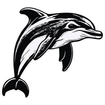 recommend clip art: Dolphin sea animal sketch hand drawn in doodle style illustration