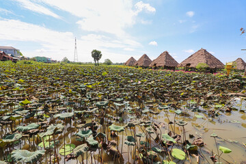 Fototapeta premium Tourist Village on outskirts of Siem Reap for ecotourism purposes at Siem Reap, Cambodia, Asia
