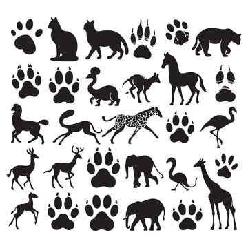 Silhouette set of different animals and their footprint