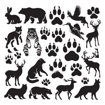 Silhouette set of different animals and their footprint