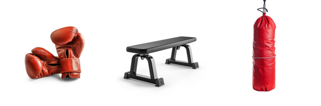 gym weights and training fitness equipment, workout body building, healthy lifestyle, bumbbells, treadmill and boxing gloves, punch bag set icons isolated on transparent png cutout background - Powered by Adobe