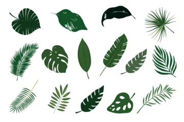 Fototapete Tropische Blätter Set of tropical leaves. Jungle leaves for varied designs.