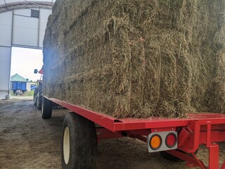 Square hay bales stacked on top of each other on a tractor and trailer