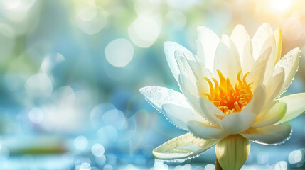 A bright white lotus flower adorned with dewdrops under a sunny sky, reflecting in the water below