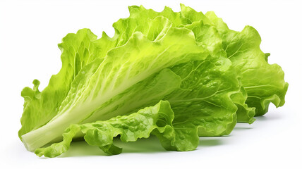 leaf green lettuce isolated on white with background - obrazy, fototapety, plakaty