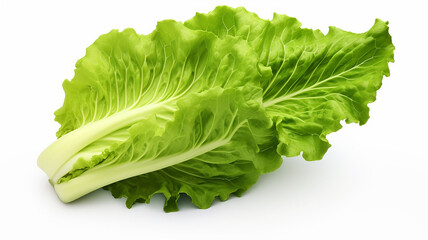 leaf green fresh lettuce isolated on white background - obrazy, fototapety, plakaty