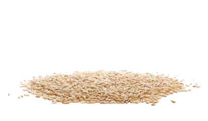 Long brown rice, uncooked and hulled, isolated on white, side view