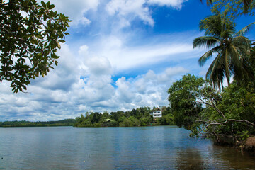 Fototapeta na wymiar Water and trees view at an island with rich blue cloudy sky