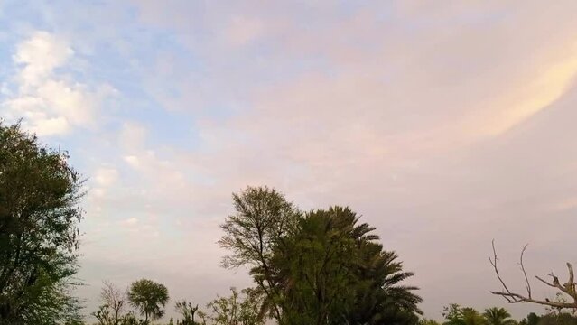 A very beautiful view of the village.