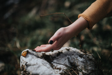 Close-up of a person's hand reaching out to a delicate butterfly resting on a stone in nature,...