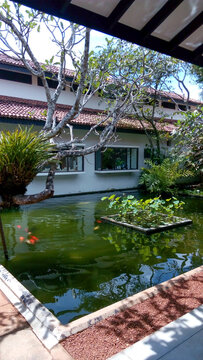 A pond in the hotel courtyard in a tropical environment