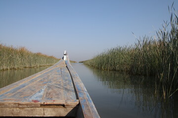 Marshes of chibayish in iraq , cane with boat - obrazy, fototapety, plakaty