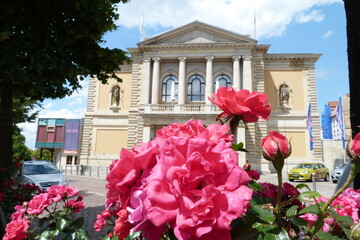 Rote Rosen vor der Oper in Halle an der Saale